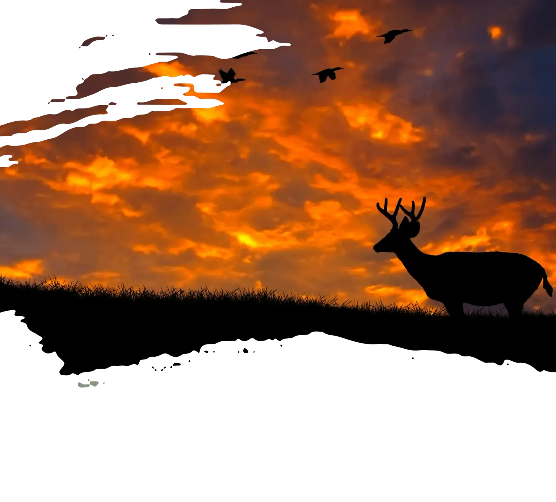 custom_ad_image